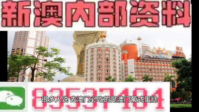新澳门内部精准资料|精选资料解析大全