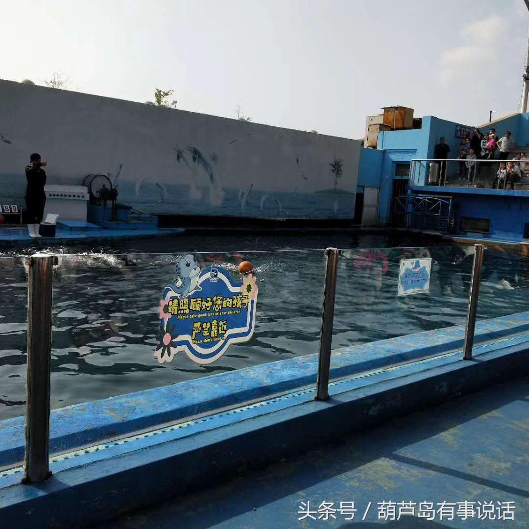 2025新澳天天彩资料免费提供,2025新澳天天彩资料免费共享平台