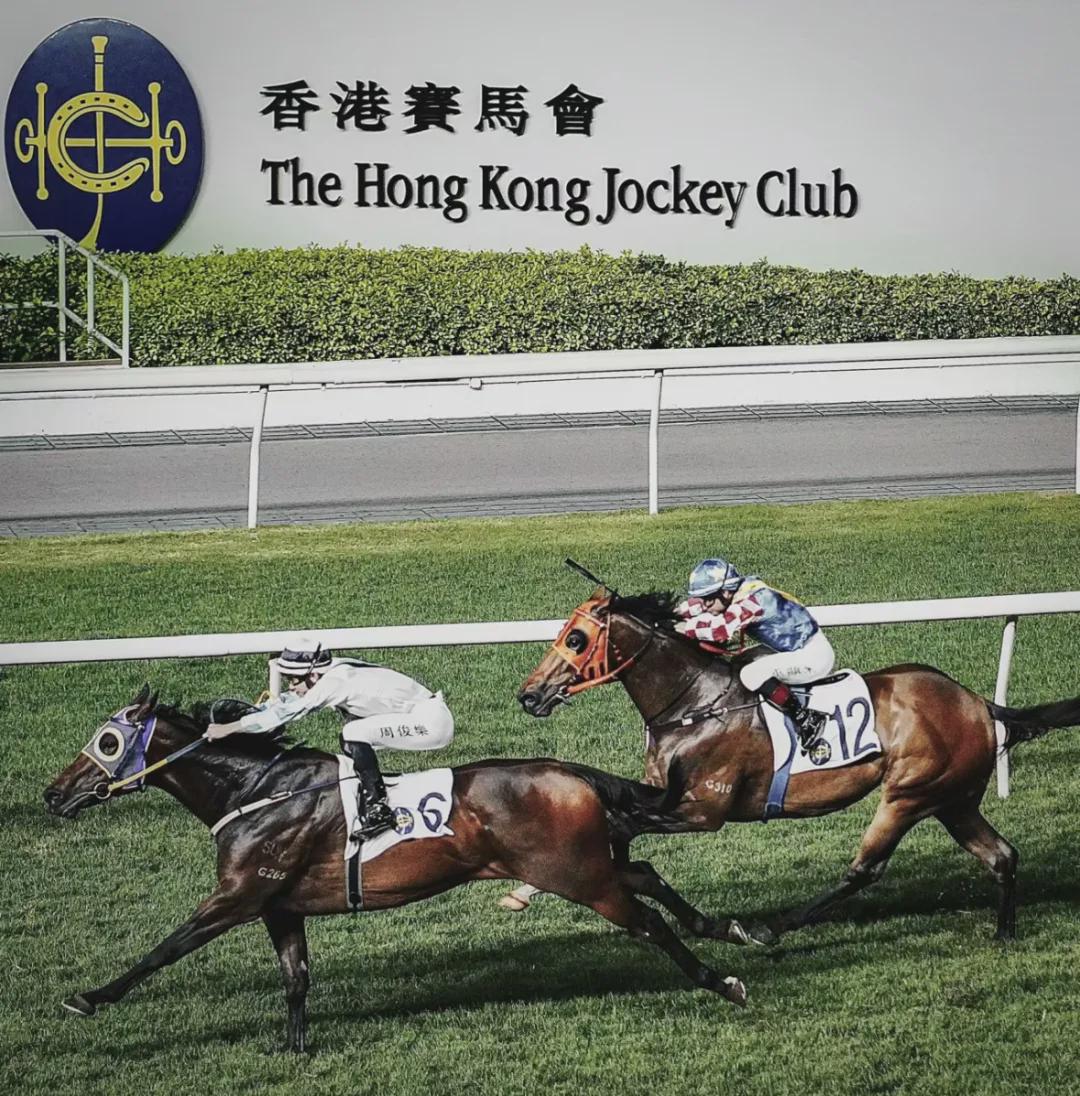 香港精准特马免费资料,香港精准特马免费资料，探索赛马世界的秘密