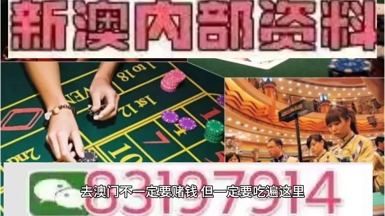 今晚澳门特马开什么号码,今晚澳门特马开什么号码，探索随机性与预测之间的微妙关系