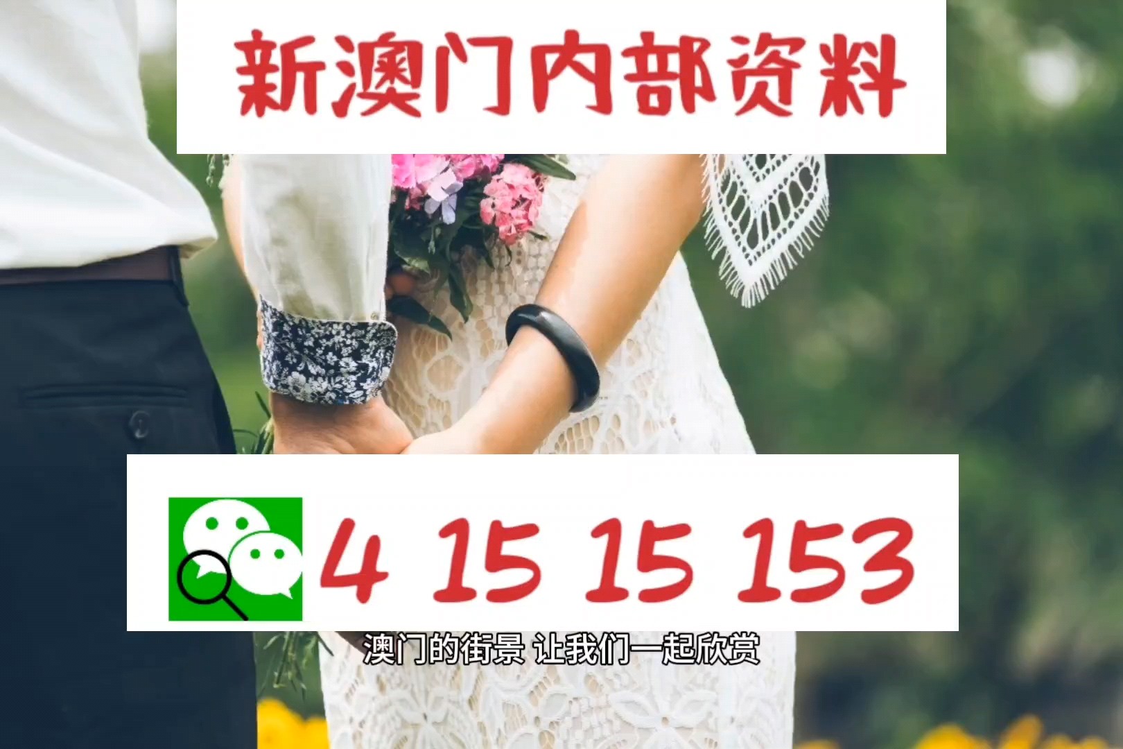 澳门100%最准的一肖,澳门100%最准的一肖，揭秘背后的秘密与真相探索